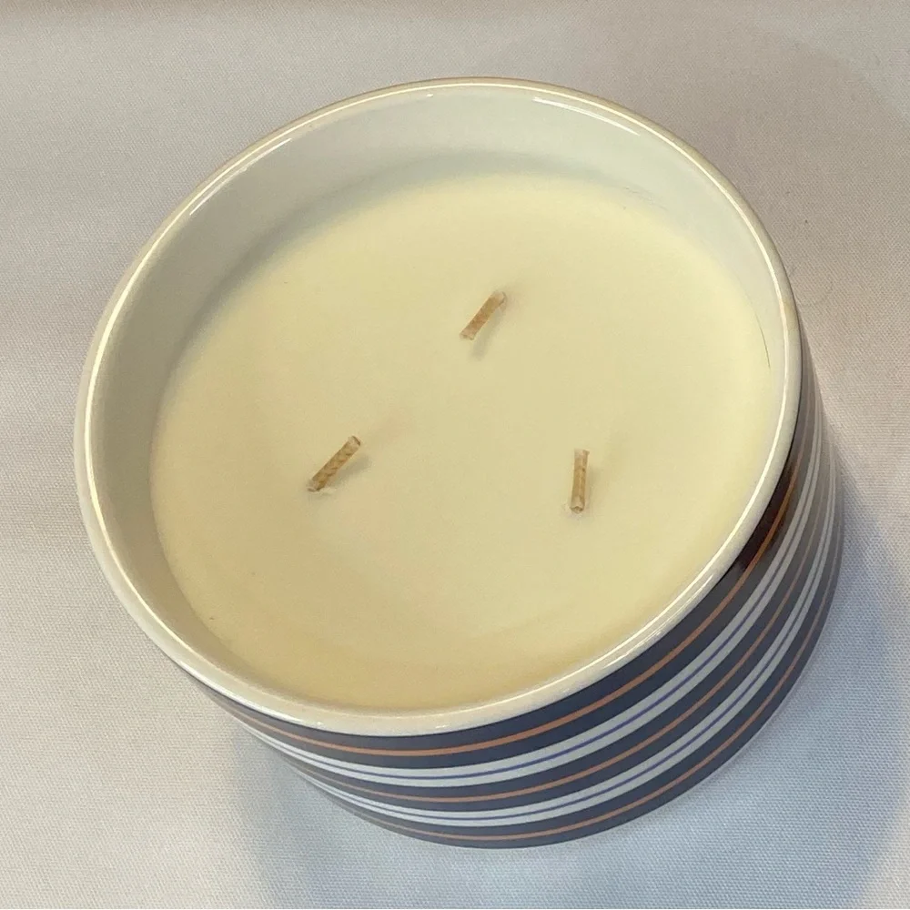 Disney Parks Critter Chaos Citronella Candle - Picture 4 of 8